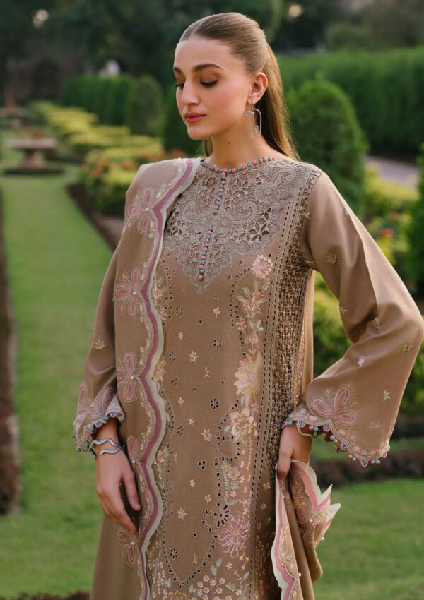 Bin Ilyas Gulabi Baagh Bi Gb 151B Winter Collection