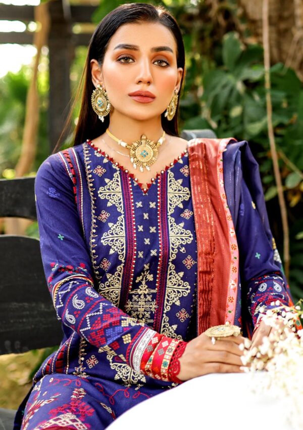 Bin Ilyas Maya Jahan D 761 A Winter Collection