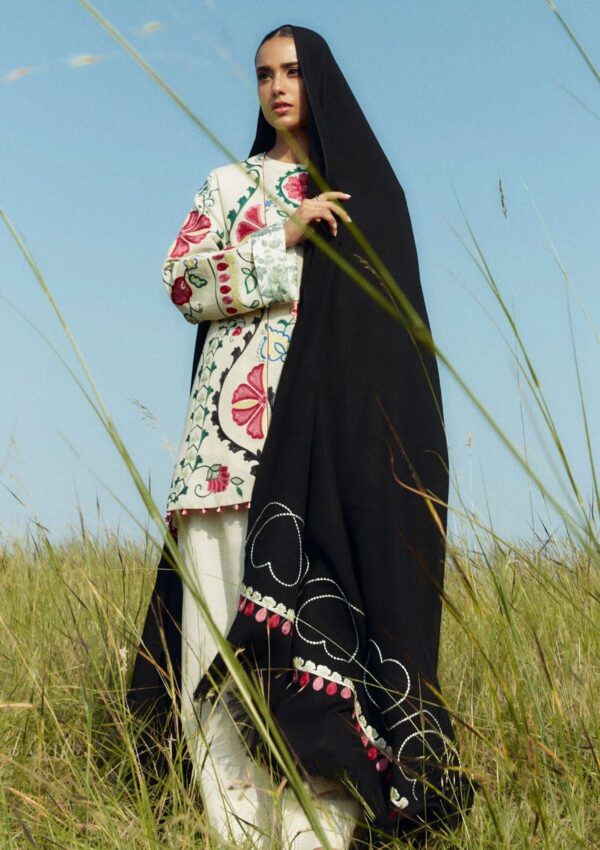 Zara Shahjahan Coco Czw 1a Unstitched Winter Collection