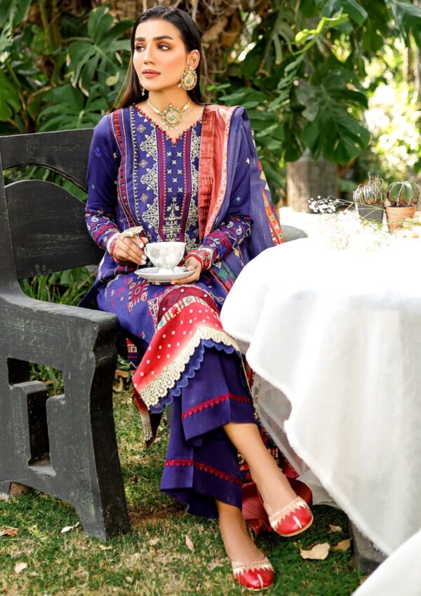 Bin Ilyas Maya Jahan D 761 A Winter Collection