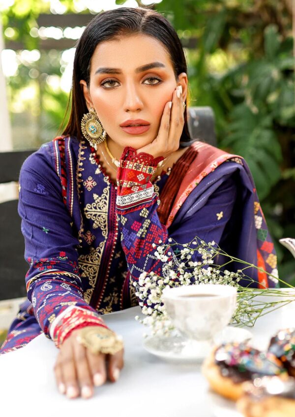 Bin Ilyas Maya Jahan D 761 A Winter Collection