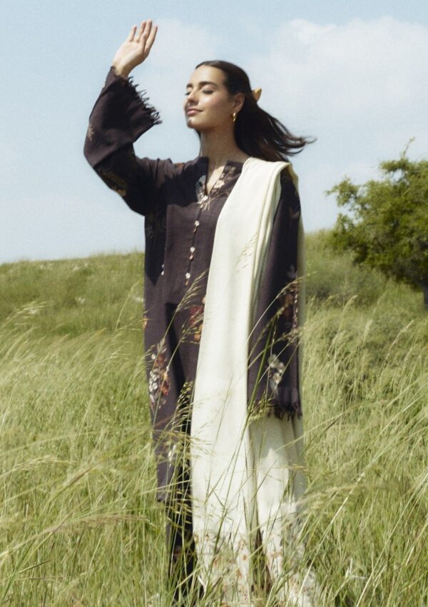 Zara Shahjahan Coco Czw 2a Unstitched Winter Collection