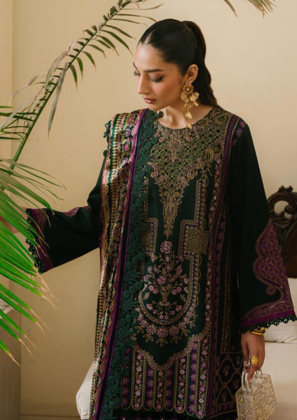 Bin Ilyas Maya Jahan D 764 A Winter Collection