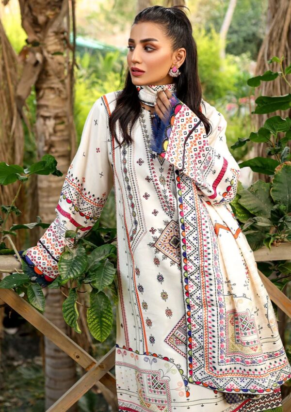 Bin Ilyas Maya Jahan D 761 B Winter Collection