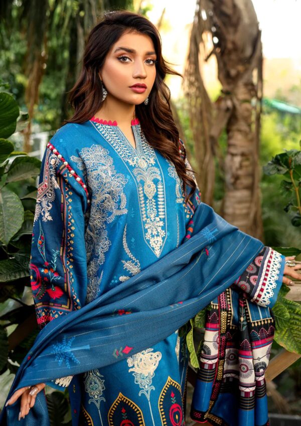 Bin Ilyas Maya Jahan D 762 A Winter Collection