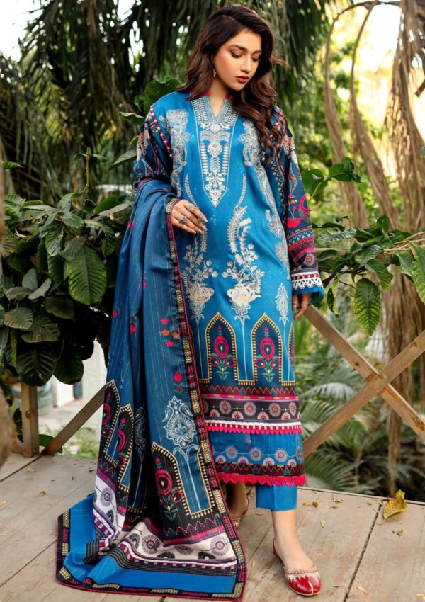 Bin Ilyas Maya Jahan D 762 A Winter Collection