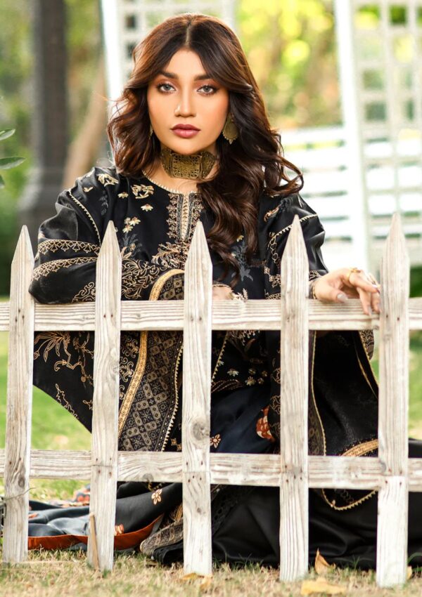 Bin Ilyas Maya Jahan D 762 B Winter Collection