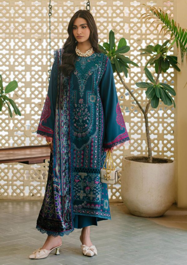 Bin Ilyas Maya Jahan D 765 A Winter Collection