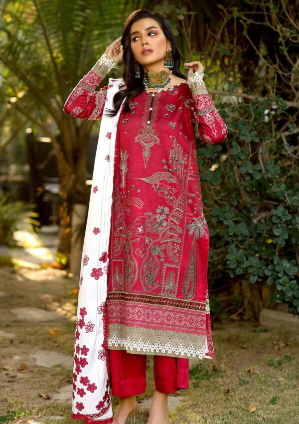 Bin Ilyas Maya Jahan D 763 A Winter Collection