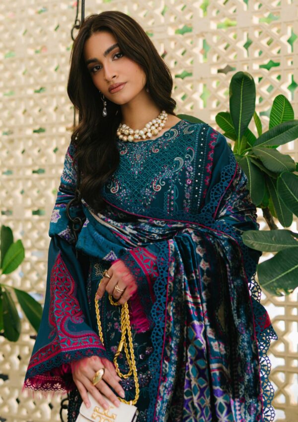 Bin Ilyas Maya Jahan D 765 A Winter Collection