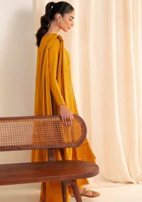 Neeshay Fall Golden Hour Pret Collection Winter Collection