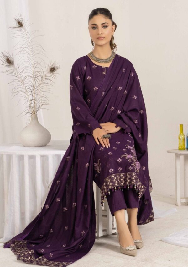 Bin Rashid Mishkaa Brj 03 Winter Collection