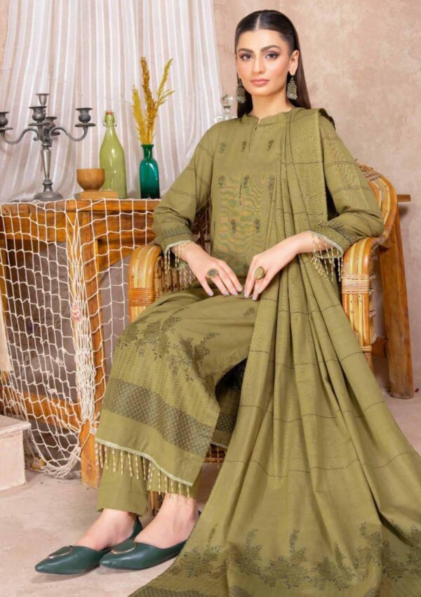 Bin Rashid Lok Virsa Bl 03 Winter Collection