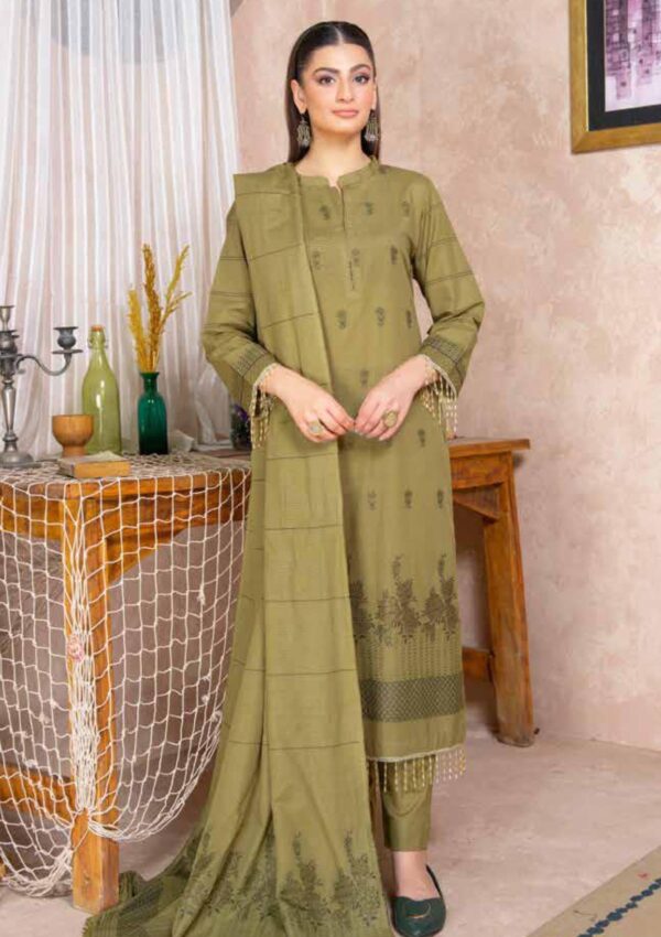 Bin Rashid Lok Virsa Bl 03 Winter Collection