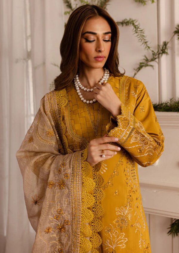 Marjjan Serene Ms 25 A Winter Collection