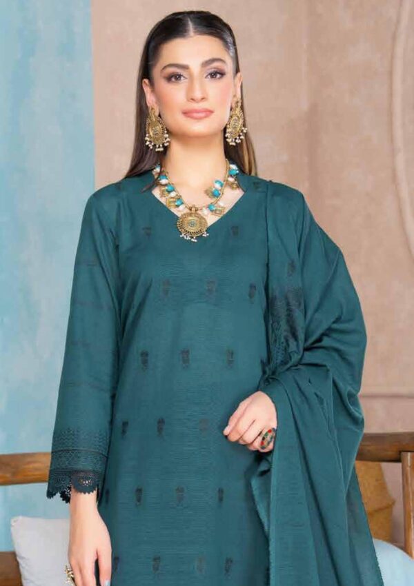 Bin Rashid Lok Virsa Bl 10 Winter Collection