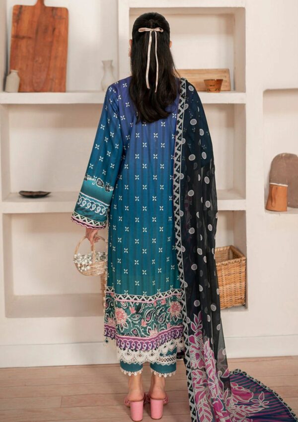 Roheenaz Selene Fall Rs 05 B Robin Winter Collection