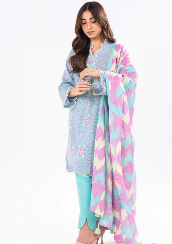 Asifa &Amp; Nabeel Am 07 Dusk Meraki Volume 09 Winter Collection