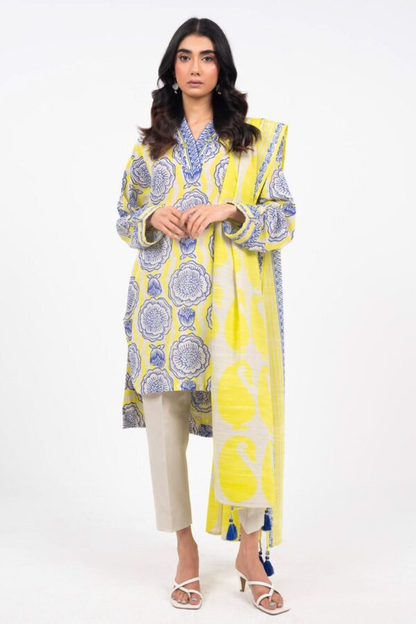 Asifa &Amp; Nabeel Am 11 Fleur Meraki Volume 05 Winter Collection