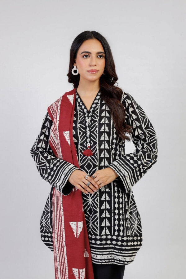 Asim Jofa Pashmina Ajki 2 Winter Collection