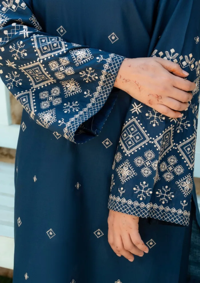 2 Pcs TPDA 616 Edit 25 Luxury Lawn Collection - Image 3