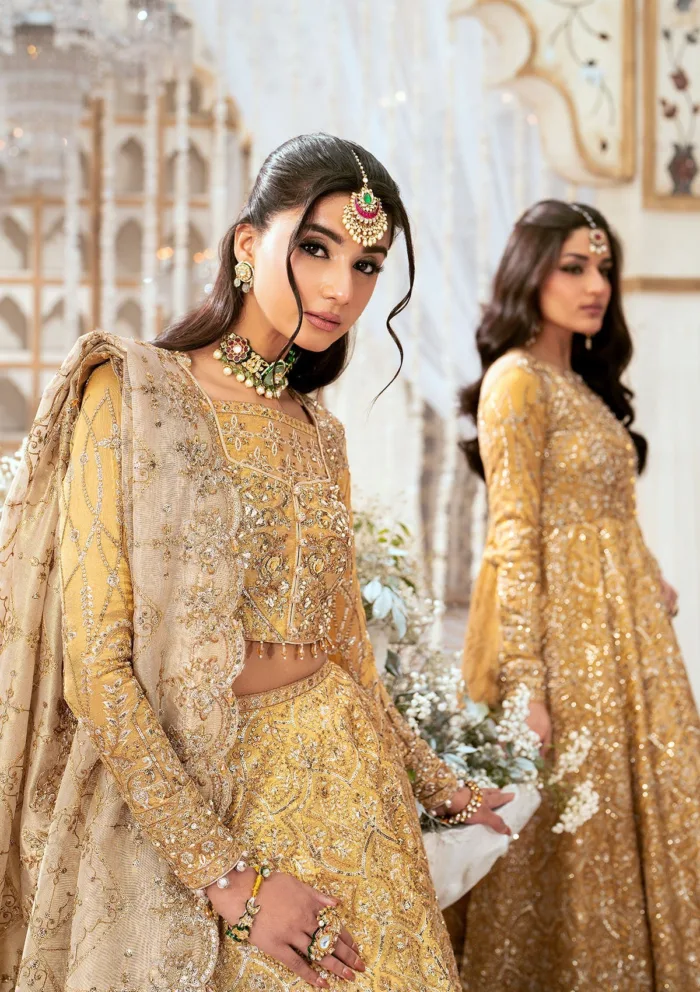 Aik Atelier Festive AW24 09 Wedding Luxury Lawn Collection - Image 2