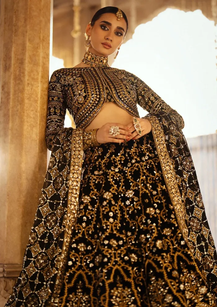 Aik Atelier LOOK 01 Dastoor Luxury Velvet Luxury Lawn Collection - Image 5