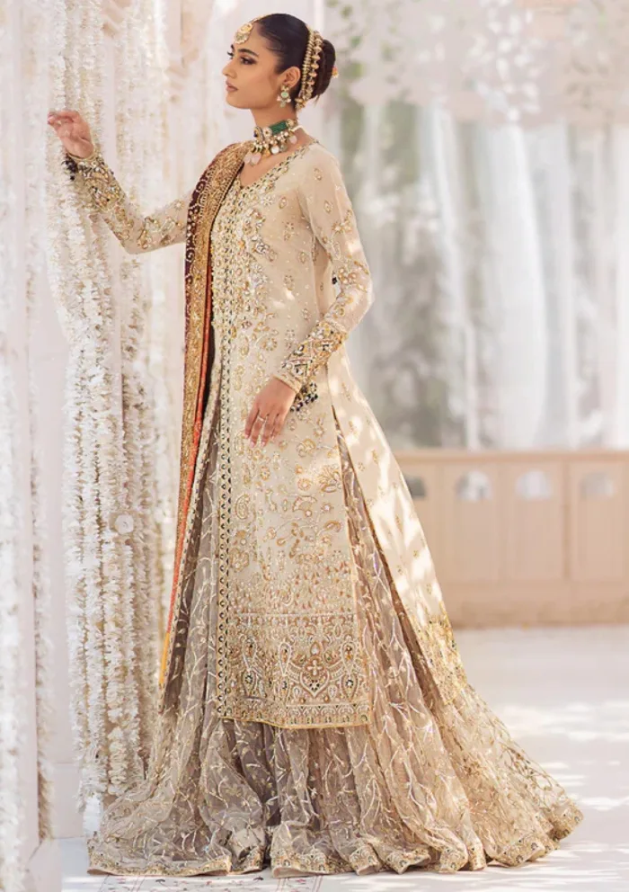 Aik Atelier Volume 02 LOOK 01 Festive 24 Luxury Lawn Collection - Image 8