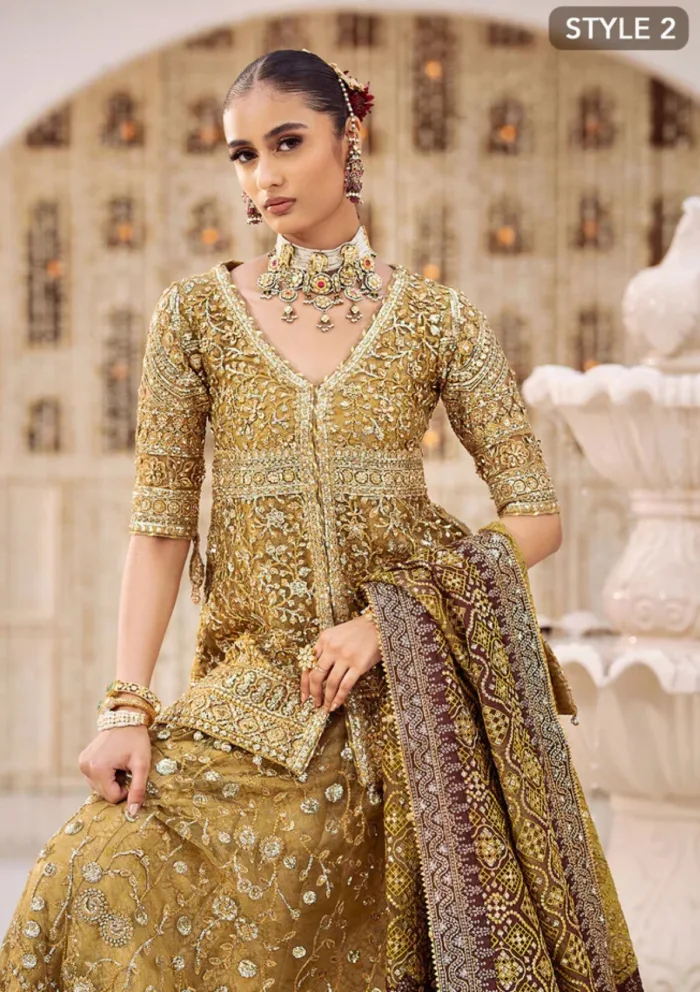 Aik Atelier Volume 02 LOOK 04 Festive 24 Luxury Lawn Collection - Image 7