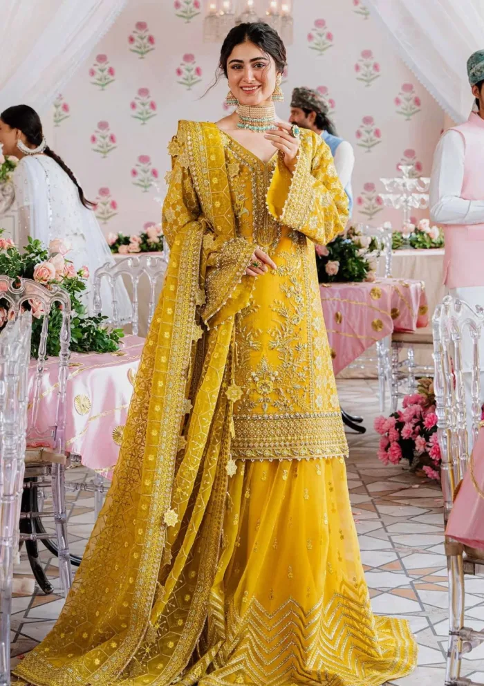 Akbar Aslam AAS24 1509 Meena