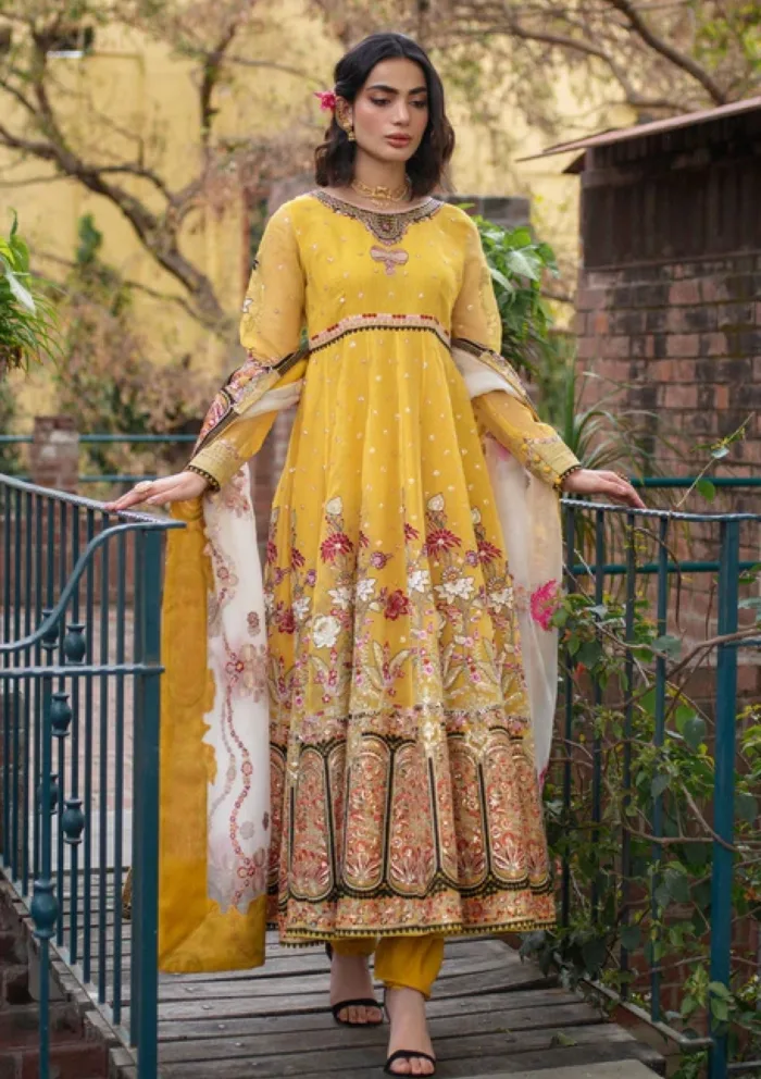 Ali Xeeshan Amber