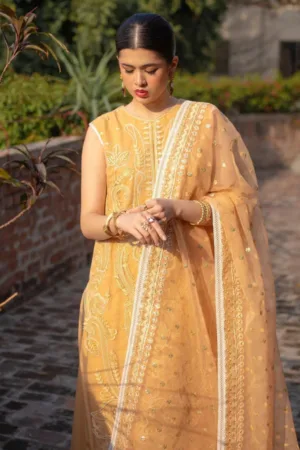 Ali Xeeshan Inara
