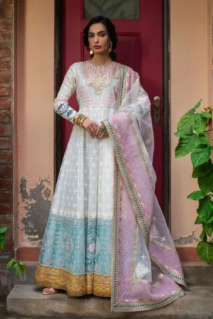 Ali Xeeshan Rooshni