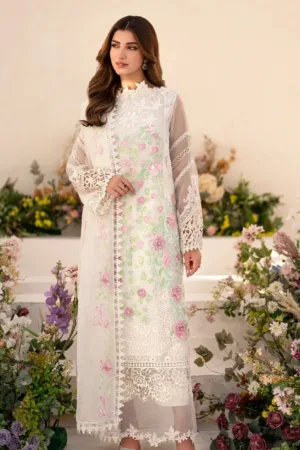 Asifa Nabeel Dove AZL25 03