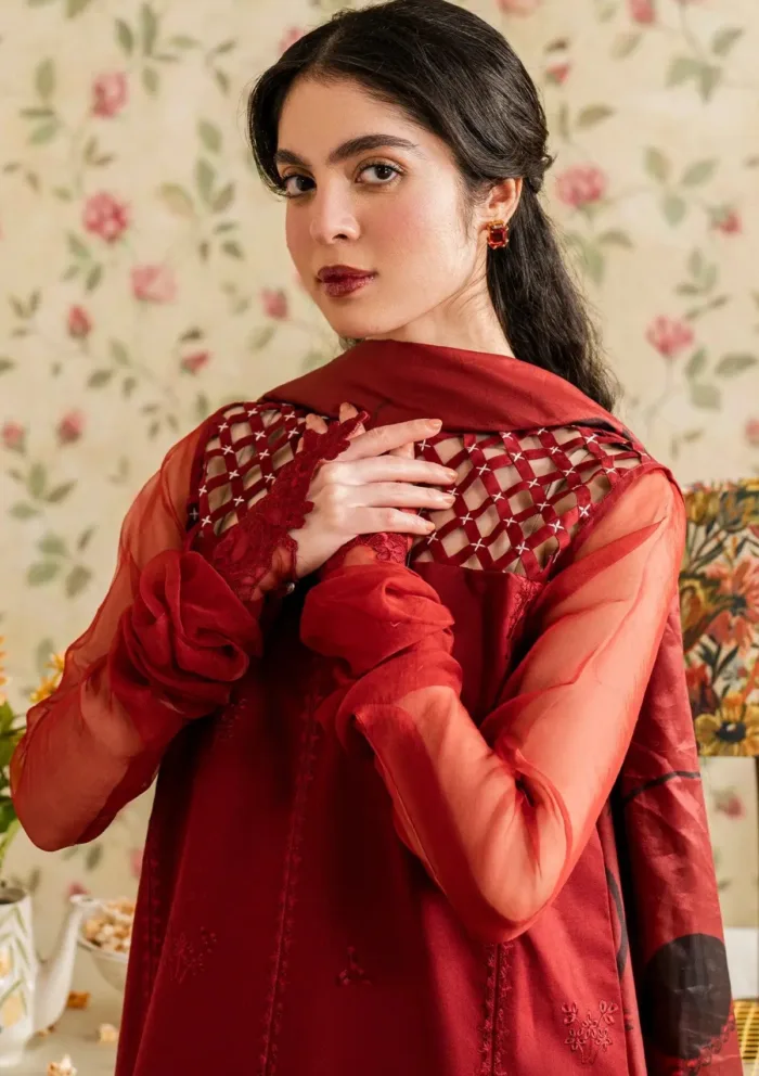Asifa Nabeel Gulaal MVL25 20 Meraki Vintage 25 Luxury Lawn Collection - Image 4