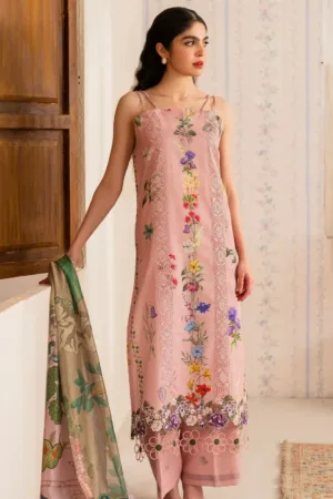 Asifa Nabeel Noor MVL25 14
