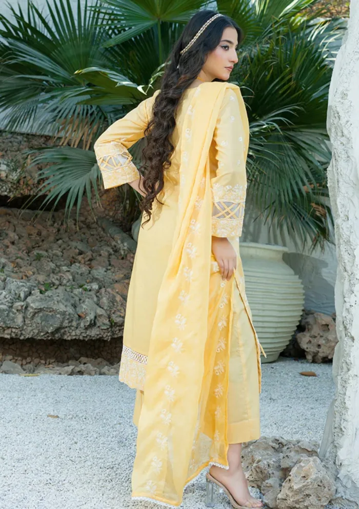Banafsheh BN 302 Chikankari Luxury 25 Luxury Lawn Collection - Image 2