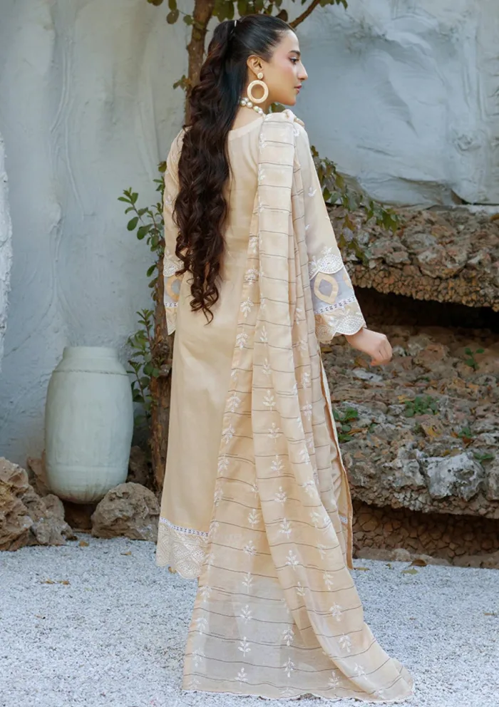 Banafsheh BN 303 Chikankari Luxury 25 Luxury Lawn Collection - Image 2