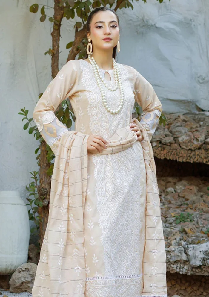 Banafsheh BN 303 Chikankari Luxury 25 Luxury Lawn Collection - Image 3
