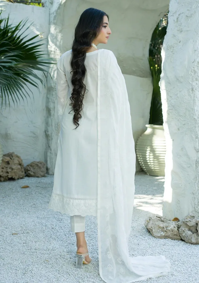 Banafsheh BN 305 Chikankari Luxury 25 Luxury Lawn Collection - Image 2