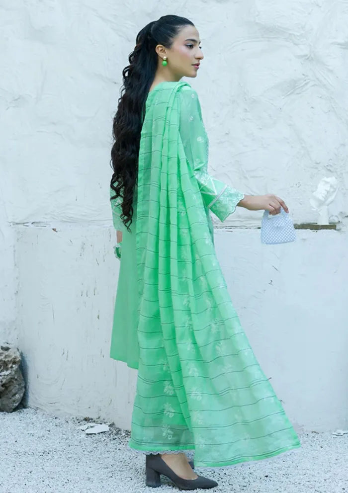 Banafsheh BN 307 Chikankari Luxury 25 Luxury Lawn Collection - Image 2
