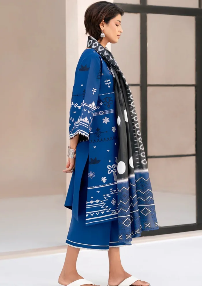 Bin Ilyas BIA25 81 A Aaina Luxury Lawn Collection - Image 2