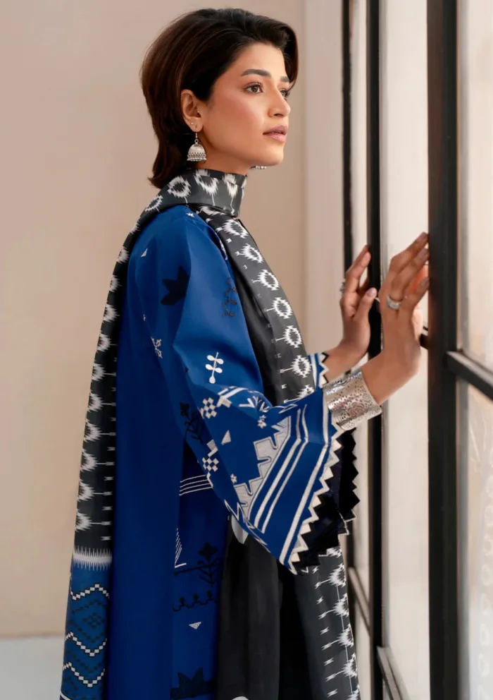 Bin Ilyas BIA25 81 A Aaina Luxury Lawn Collection - Image 5