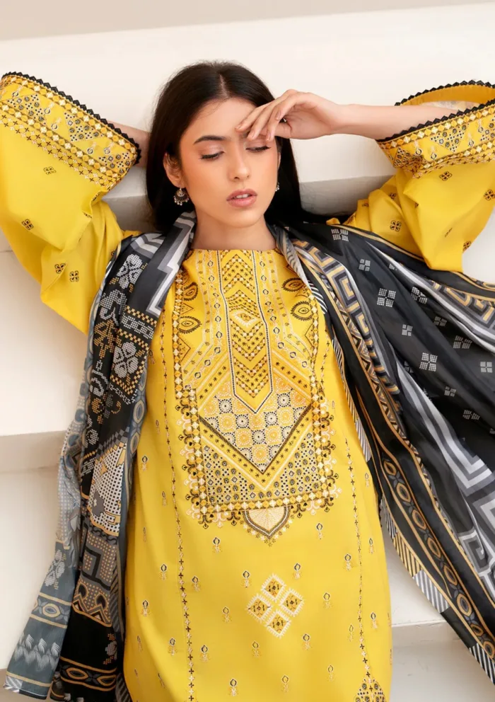 Bin Ilyas BIA25 86 B Aaina Luxury Lawn Collection - Image 5