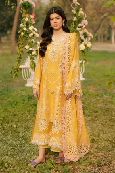 Bin Ilyas Summer 25 BFS 104 A