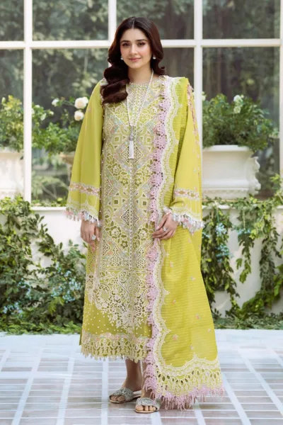 Bin Ilyas Summer 25 BFS 105 A