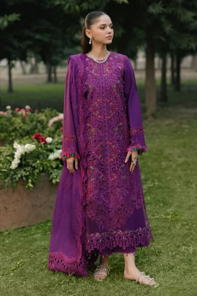 Bin Ilyas Summer 25 BFS 105 B