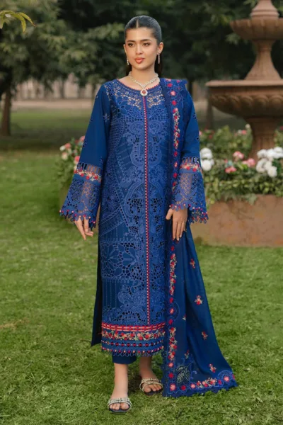 Bin Ilyas Summer 25 BFS 106 B