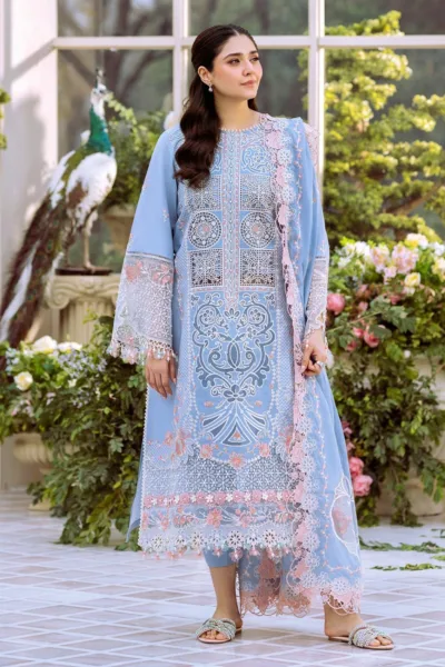 Bin Ilyas Summer 25 BFS 107 A