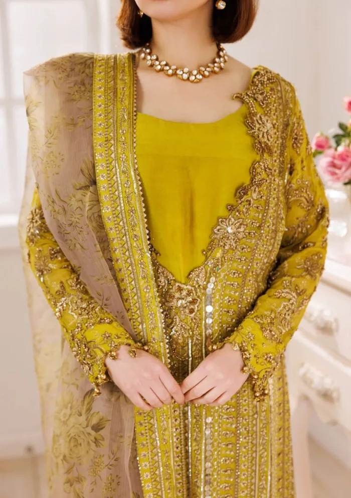 Charizma CDJ25 04 Dastan E Jashan Luxury Lawn Collection - Image 5